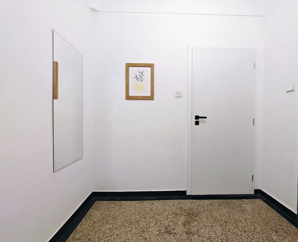 Zizkov Studio -004- Prag Dış mekan fotoğraf